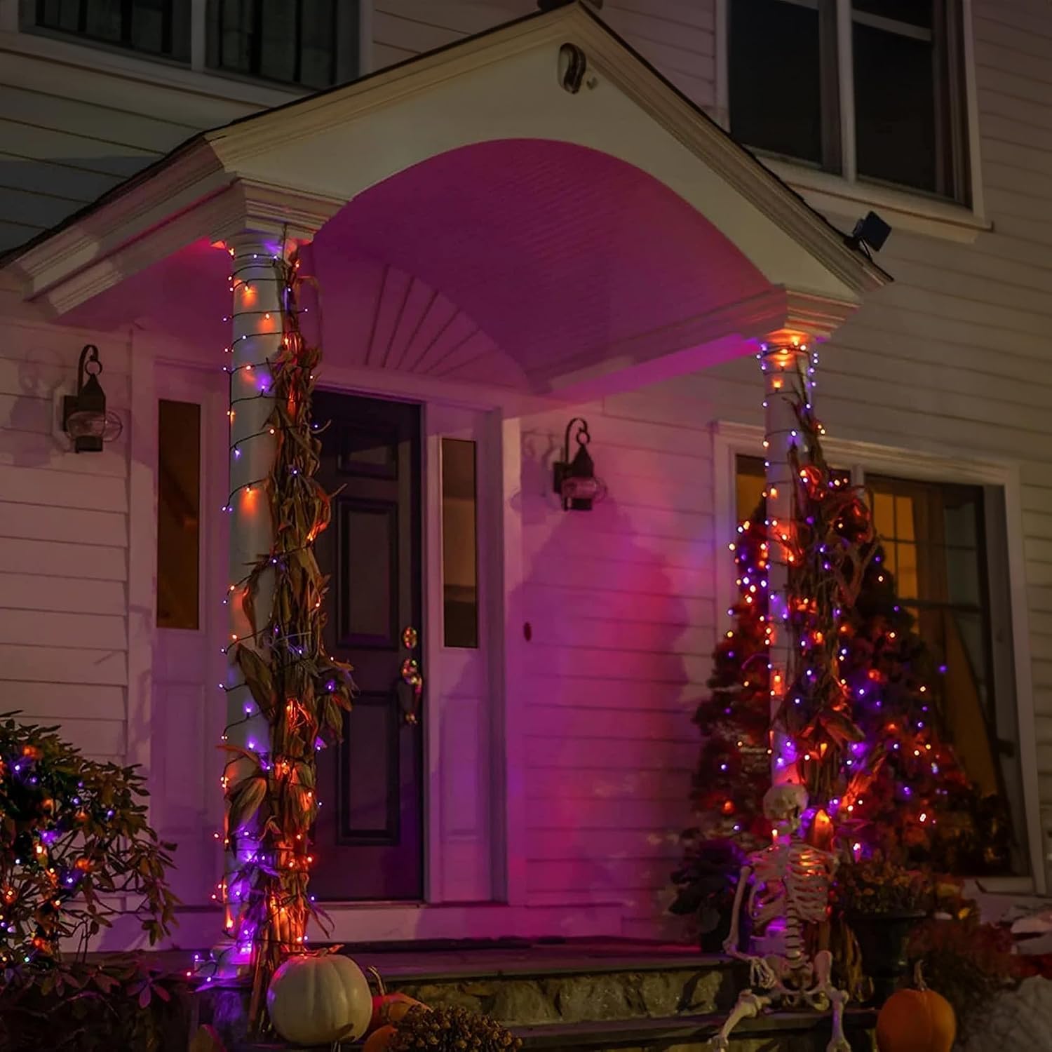 Dazzle Bright 164 FT 500 LED H – Orange Lighting Decor recenzja i cena